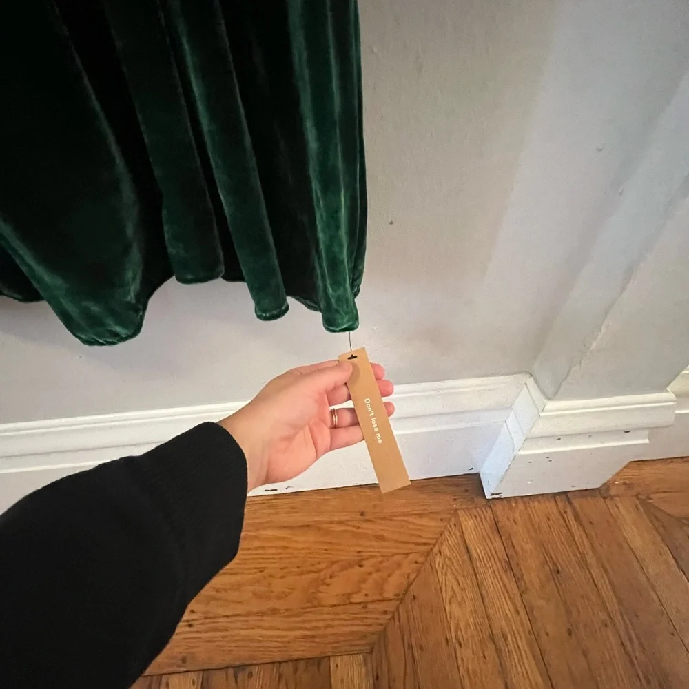 Reformation Antoinette Velvet Dress in Emerald - Picture 13 of 15